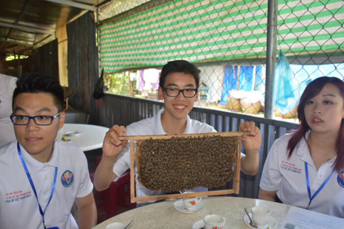 Cùng tìm hiểu về nghề nuôi ong lấy mật