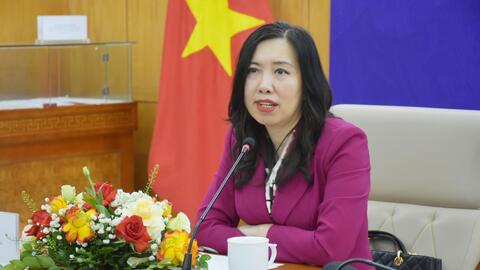 Thứ trưởng Bộ Ngoại giao Lê Thị Thu Hằng gặp gỡ báo chí thông tin về Hội nghị toàn quốc tổng kết Nghị quyết 36 và các văn bản chỉ đạo của Bộ Chính trị, Ban Bí thư về công tác NVNONN