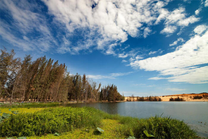 Vẻ đẹp Bàu Trắng (photo Andy Vu)