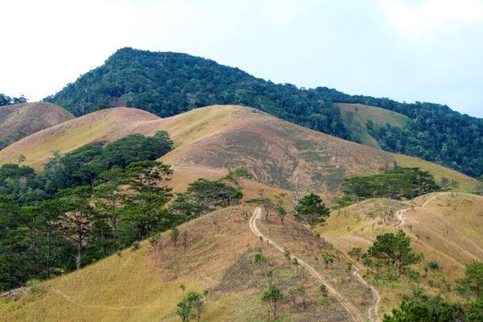 Cung đường trekking Tà Năng – Phan Dũng là niềm mơ ước của không ít các “phượt thủ”. Ảnh: Trung Hảo