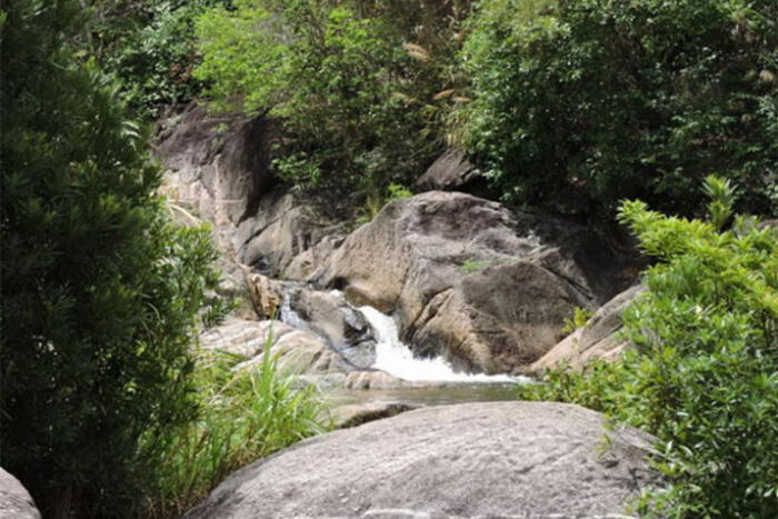 Nhiều đoạn suối đẹp nằm ẩn hiện trong cánh rừng hoang vu, tĩnh mịch - Ảnh: T.Ly