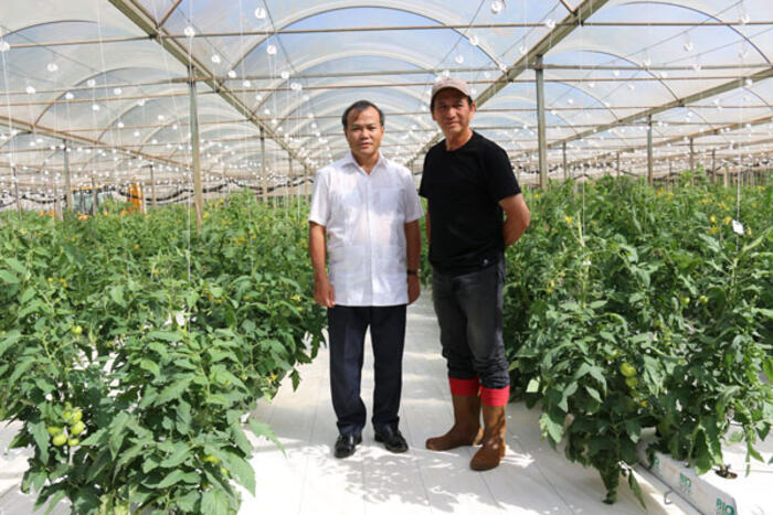 Thứ trưởng Vũ Hồng Nam cùng anh Le Van Hao Jean bên vườn cà chua