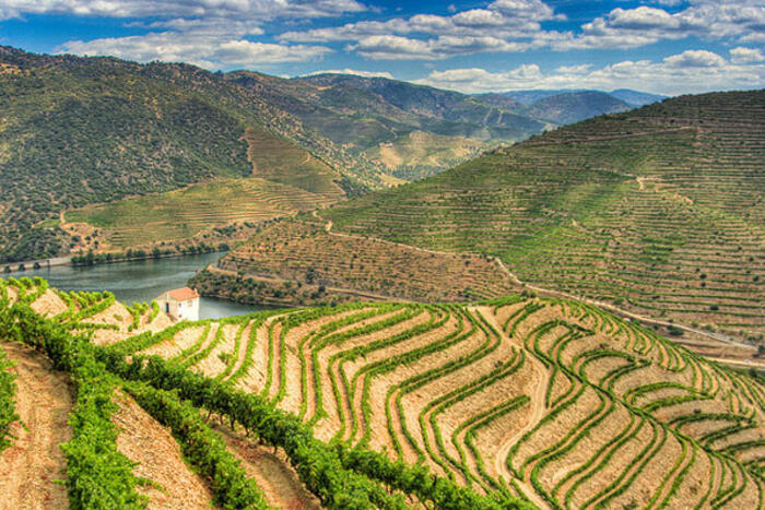 Douro, Bồ Đào Nha:Nằm phía Bắc Bồ Đào Nha,thung lũng Douro với những ruộng nho trải dài trên đồi,là một trong những điểm đến tuyệt vời thu hút khách du lịch