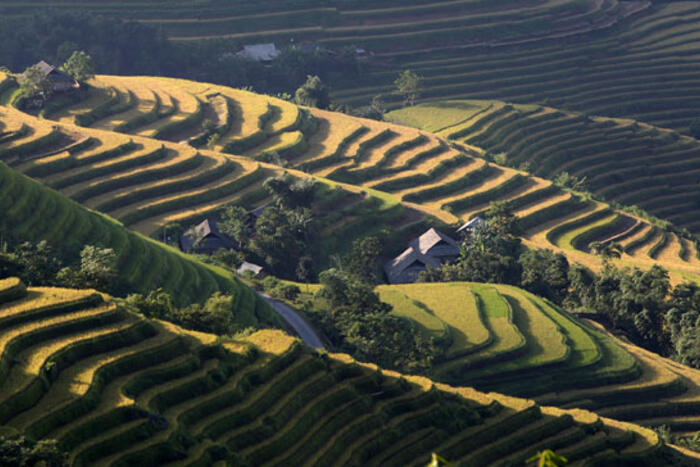 Những thửa ruộng bậc thang xen lẫn trong bản làng người Dao ở xã Bản Luốc, huyện Hoàng Su Phì, tỉnh Hà Giang.