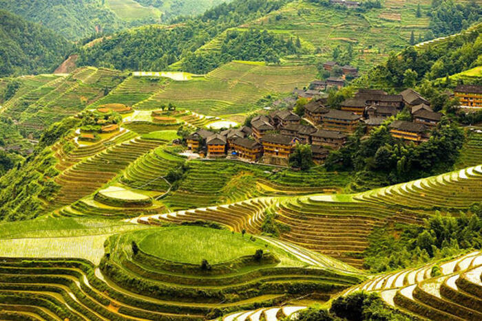 Longji,Trung Quốc:còn gọi là sống lưng rồng được xây dựng từ 500 năm trước dưới thời nhà Minh. Ruộng trải dài trên địa phận tỉnh Quế Lâm,là một điểm đến không thể bỏ qua khi tới Trung Quốc
