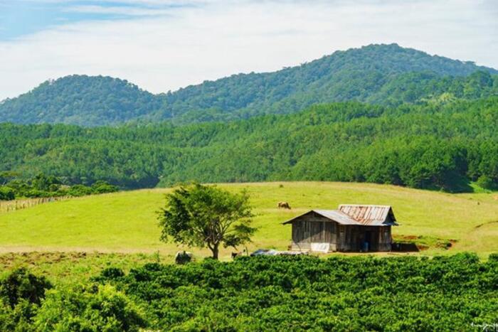 Cung trek dài 55km và đi xuyên qua 3 tỉnh Lâm Đồng, Ninh Thuận và Bình Thuận. Ảnh: Phạm Văn Tùng