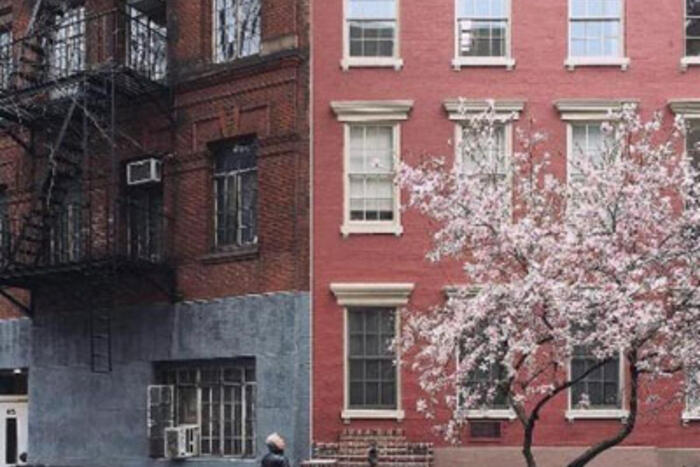 Những người có nhà ở New York có thể yêu cầu trồng cây bên ngoài nhà của họ mà không mất phí