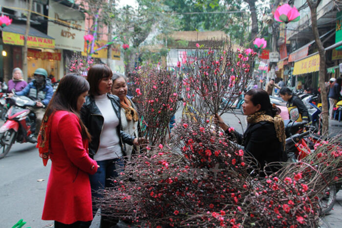 Chợ đào ngày Tết