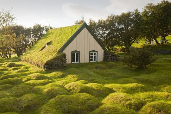 Công trình bao phủ bởi cỏ tuyệt đẹp  thuộc về một nhà thờ nhỏ ở khu vực Oaefi, Iceland, được xây dựng vào năm 1884. Nhiều du khách miêu tả, nơi đây còn đẹp hơn cả cổ tích