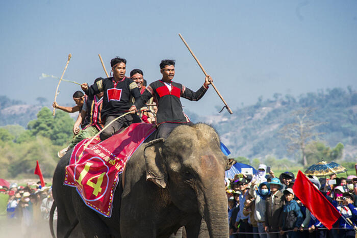 Đến Tây Nguyên xem lễ hội đua voi