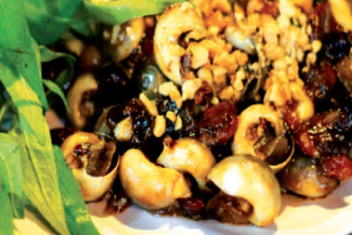 Ốc mỡ