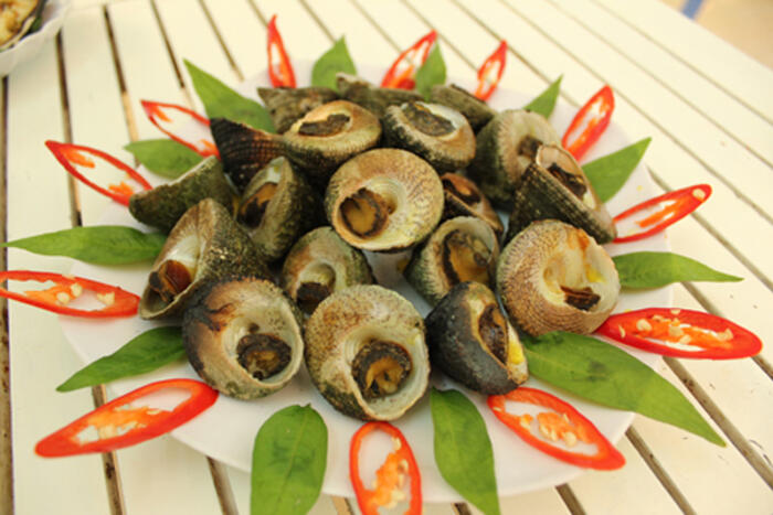 Ốc vú nàng