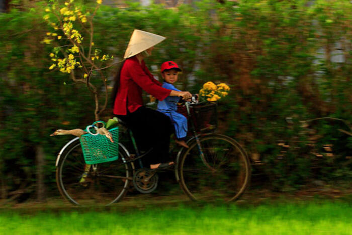 Tết đến Xuân về
