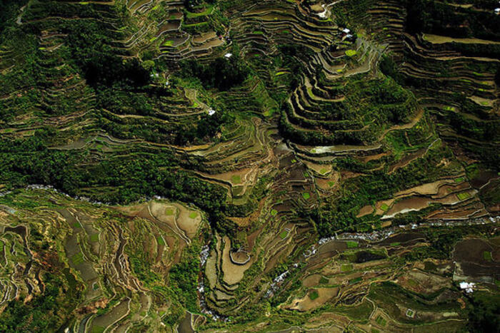 Banaue,Philippines: Một trong những ruộng bậc thang lâu đời nhất thế giới,nằm trong một ngôi làng miền núi ở Bắc đảo Luzon