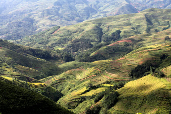 Bức họa vùng cao - Ảnh: Thủy Trần