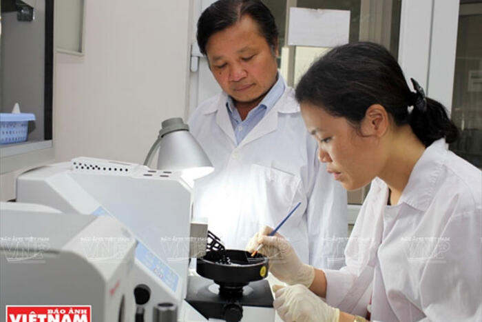 GS Lê Huy Hàm cùng các đồng nghiệp trẻ của phòng nghiên cứu di truyền thuộc Viện Di Truyền Nông nghiệp Việt Nam đang theo dõi một thí nghiệm. Ảnh: Tất Sơn