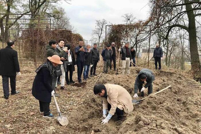 Trên thửa đất được cấp, Đại sứ quán trồng hơn 50 gốc tre ở khu vực hàng rào
