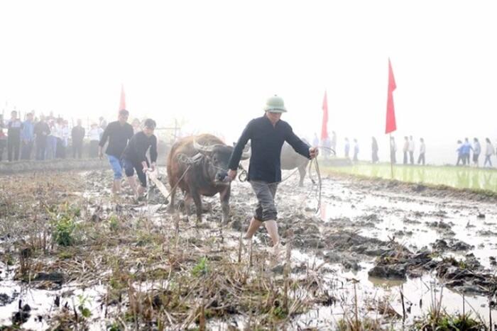 Đại diện lãnh đạo địa phương cùng người dân xuống đồng cày ruộng trong Lễ hội Lùng Tùng của dân tộc Thái ở huyện Than Uyên, tỉnh Lai Châu. Ảnh: Quý Trung/ TTXVN