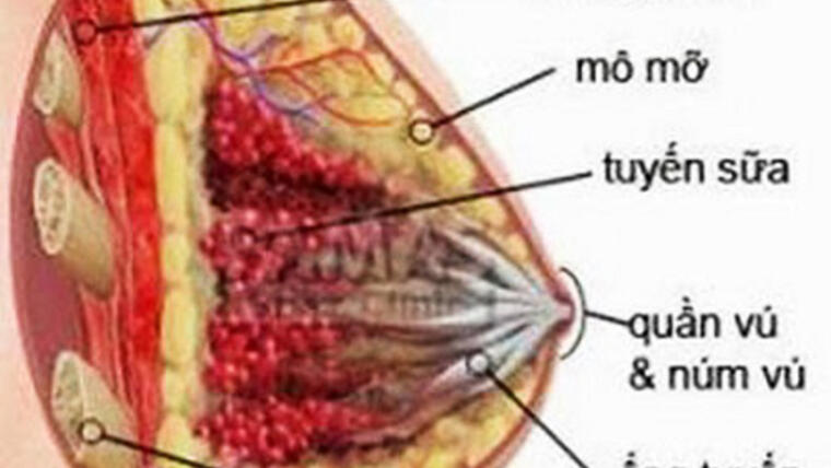 Cách ngừa viêm tuyến vú khi cho con bú