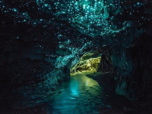 Hang Waitomo: Giống xứ sở thần tiên Disneyland, là một địa danh có thực ở New Zealand. Hang đẹp nhất vào ban đêm, khi hiện lên nguồn sáng li ti như một trời đầy sao