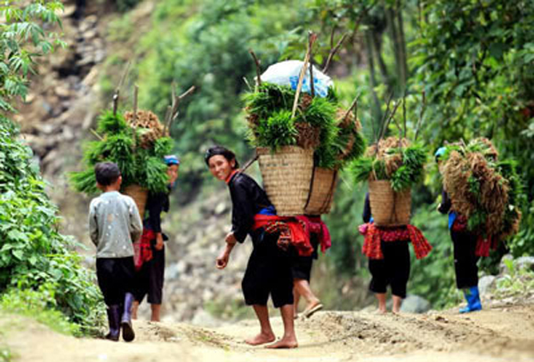 Chiếc gùi trong đời sống văn hóa đồng bào Tây Nguyên