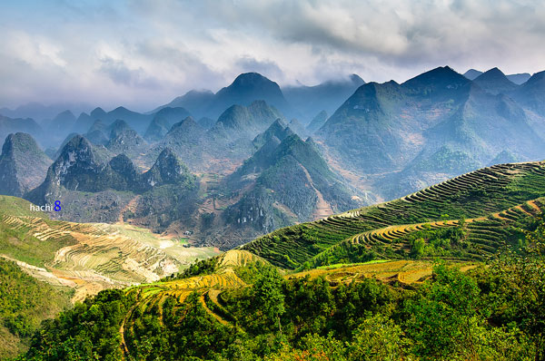 Cao nguyên đá Đồng Văn: Vẻ đẹp hoang sơ hút hồn du khách