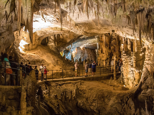 Hang Postojnska: Dài tới 24 km, phủ đầy măng đá, nhũ đá. Du khách di chuyển bằng tàu mini, sau đó khám phá bằng cách đi bộ hoặc xem biểu diễn âm nhạc trong hang
