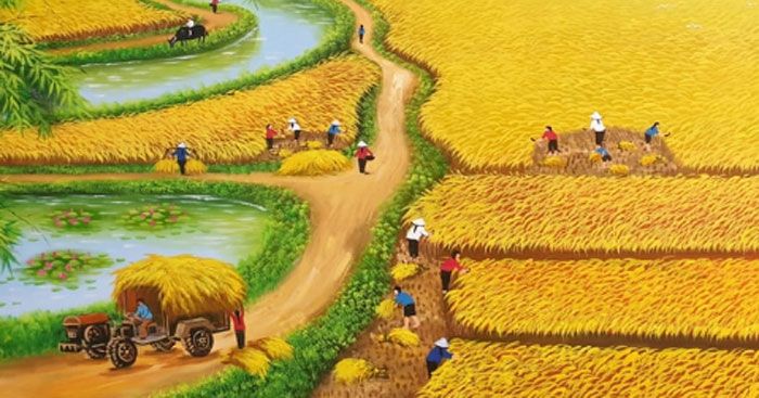 Mùa gặt là thời điểm quan trọng và thiêng liêng trong năm của bất kỳ làng quê nào ở Việt Nam, và đồng lúa là trái tim của mùa gặt đó. Hãy dành chút thời gian để chiêm ngưỡng hình ảnh của những đồng lúa rộng lớn và xanh tươi, được cắt bỏ vào mùa gặt tại quê hương Việt Nam. Đó chắc chắn là một trải nghiệm tuyệt vời cho bất kỳ ai yêu nước này.