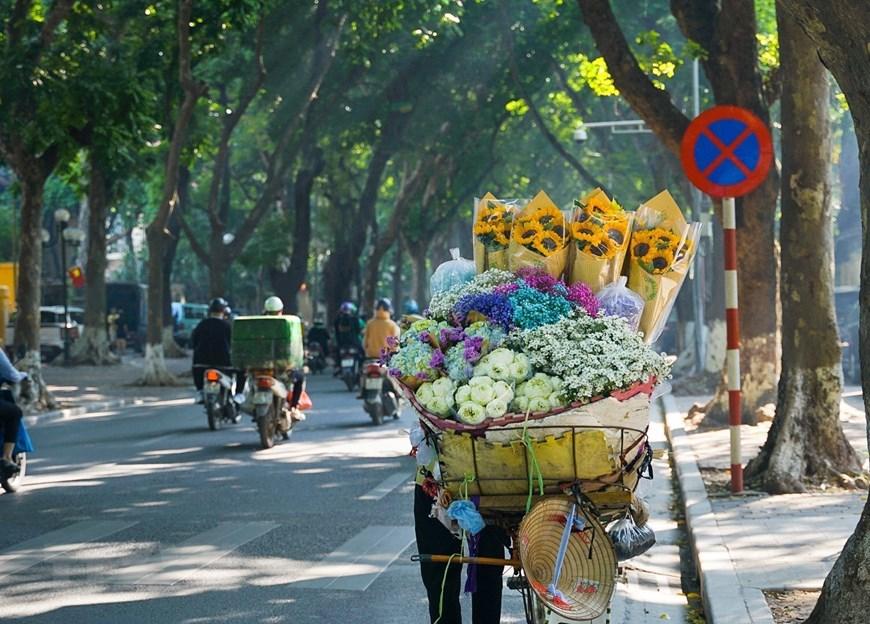 Ngắm những chiếc xe chở mùa trên phố phường Hà Nội - 3
