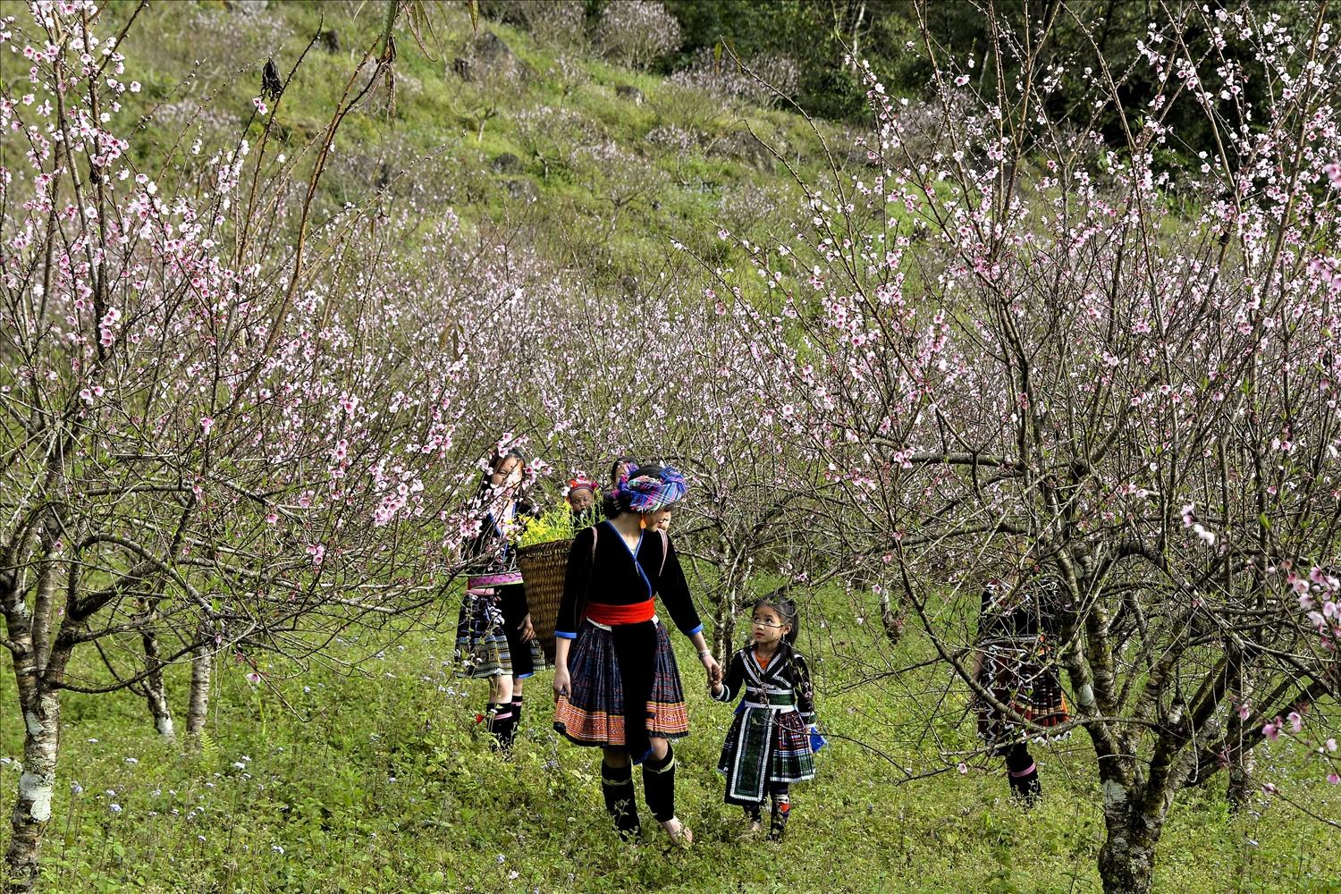 Dưới rừng đào rừng bạt ngàn nở rộ, mẹ và bé đều diện áo váy mới đi du Xuân ngắm hoa cỏ, đất trời…