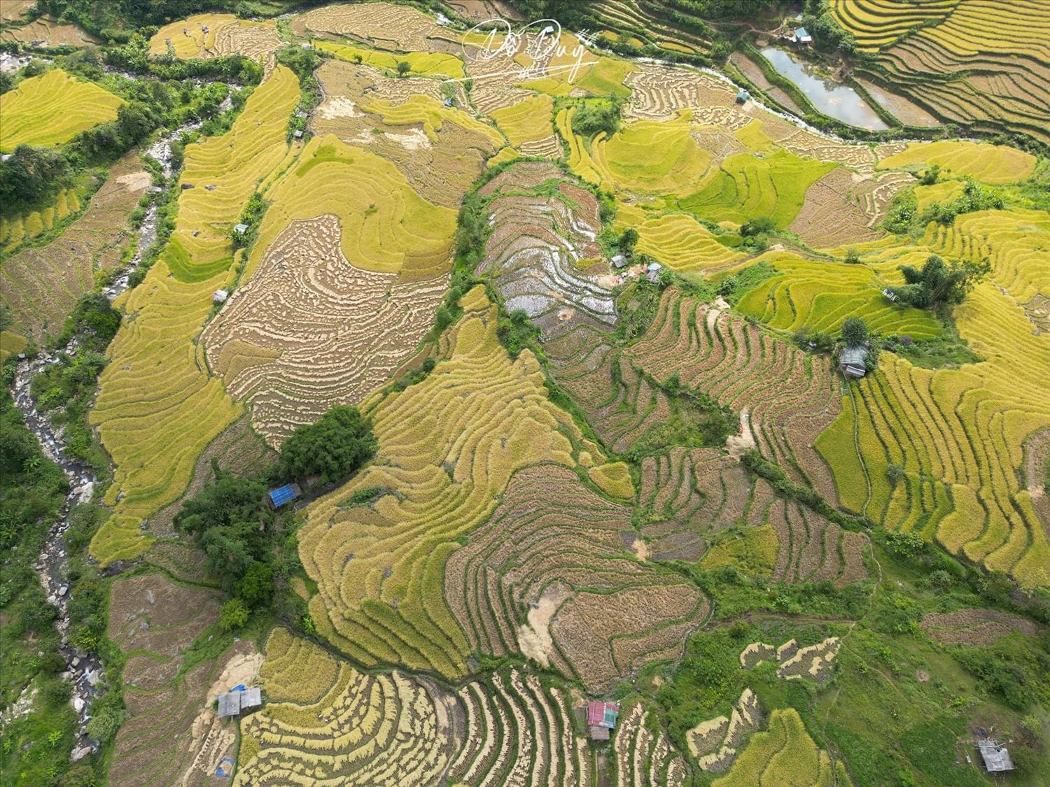 Ruộng bậc thang Dào San nhìn từ trên cao Ruộng bậc thang Dào San nhìn từ trên cao