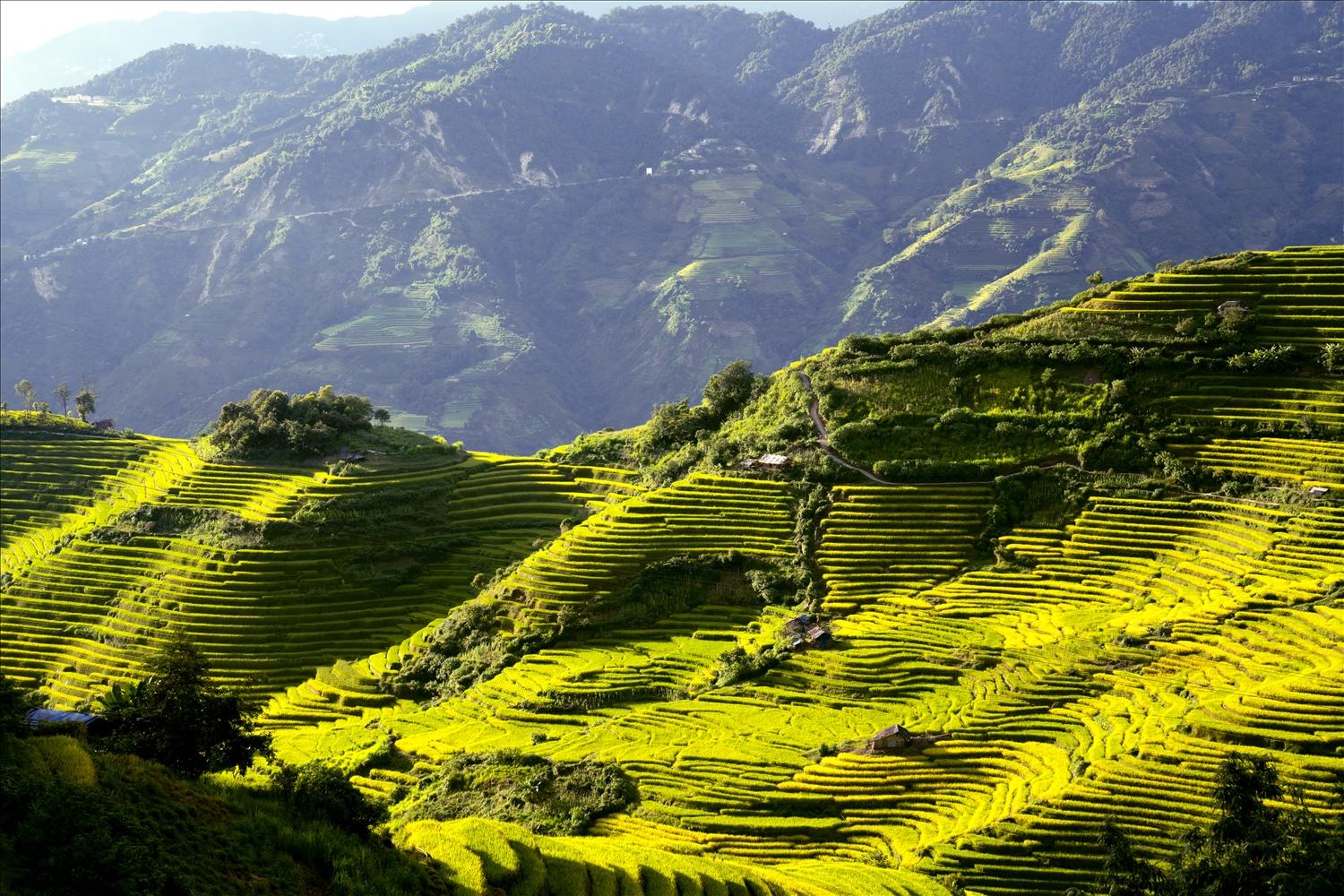 Ruộng bậc thang như những khuông nhạc Ruộng bậc thang như những khuông nhạc - Ảnh Thắng Nguyễn