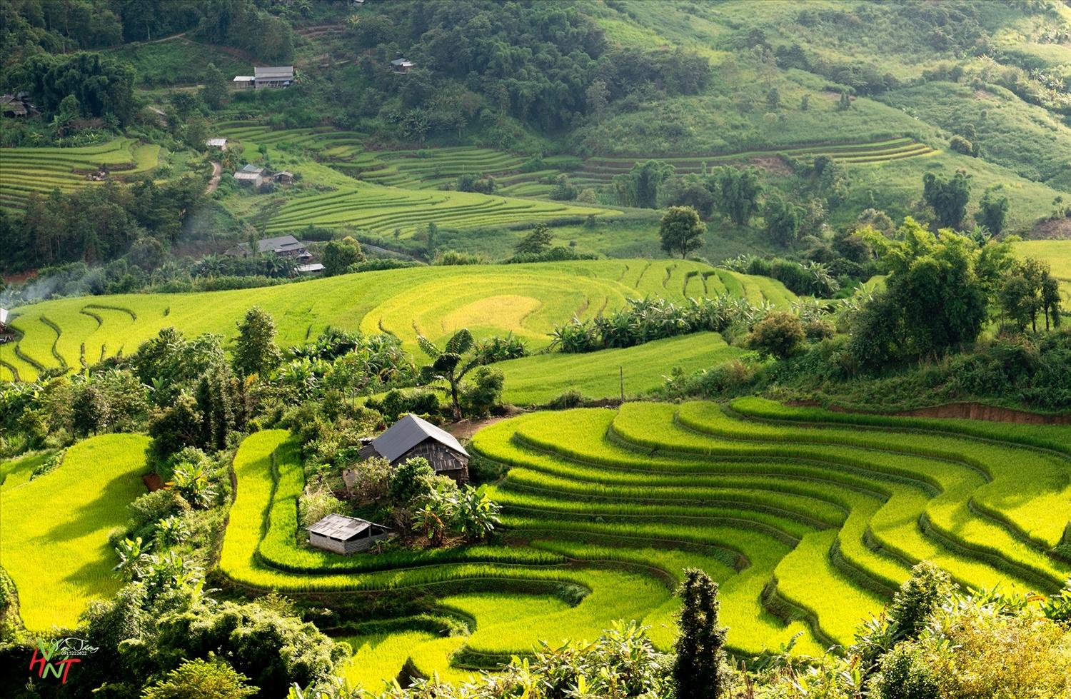 Dào San đẹp như một bức tranh hữu tình Dào San đẹp như một bức tranh hữu tình - Ảnh: Thắng Nguyễn