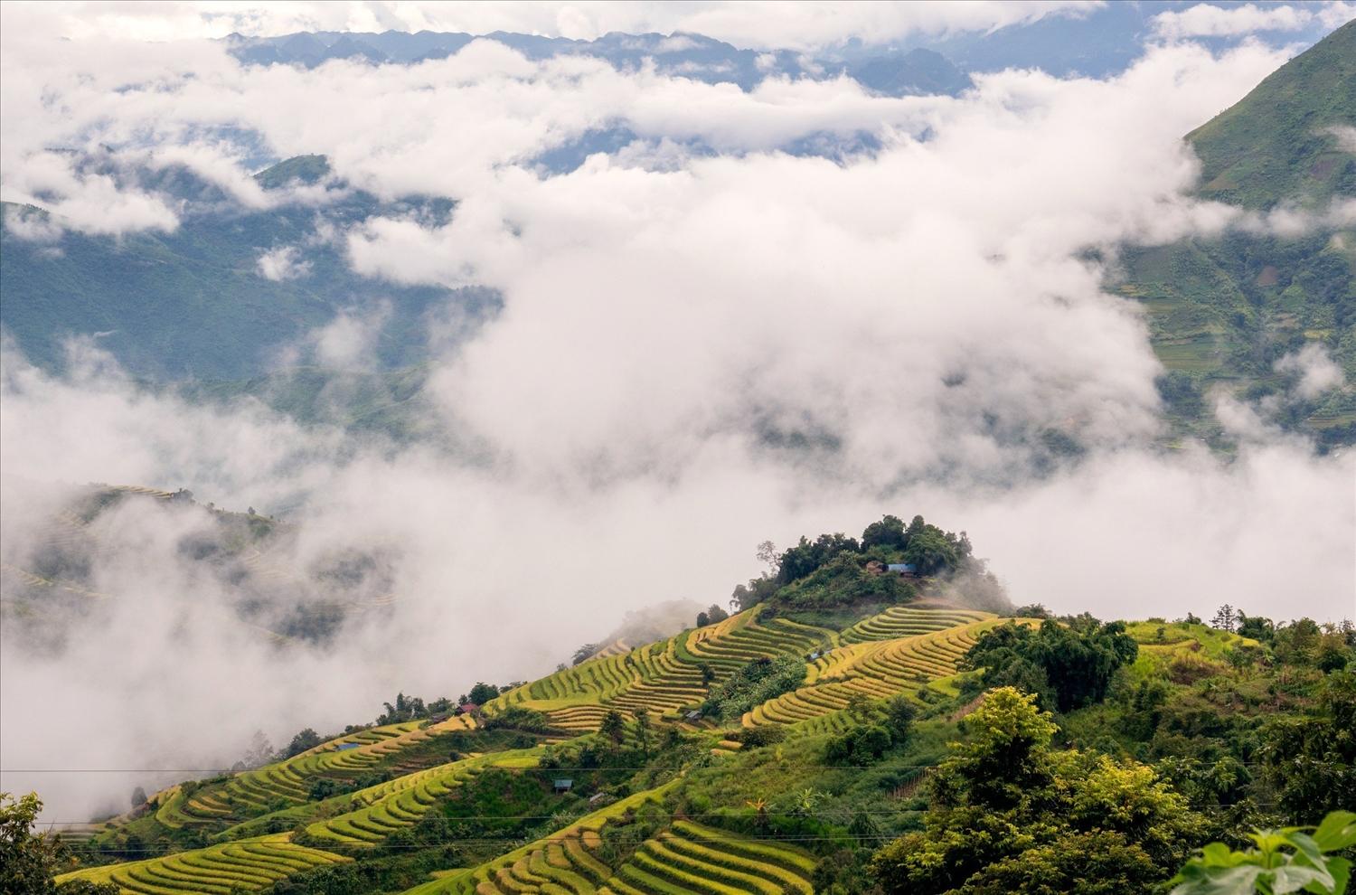 Mây bay đỉnh núi - Ảnh Mây bay đỉnh núi - Ảnh Thắng Nguyễn