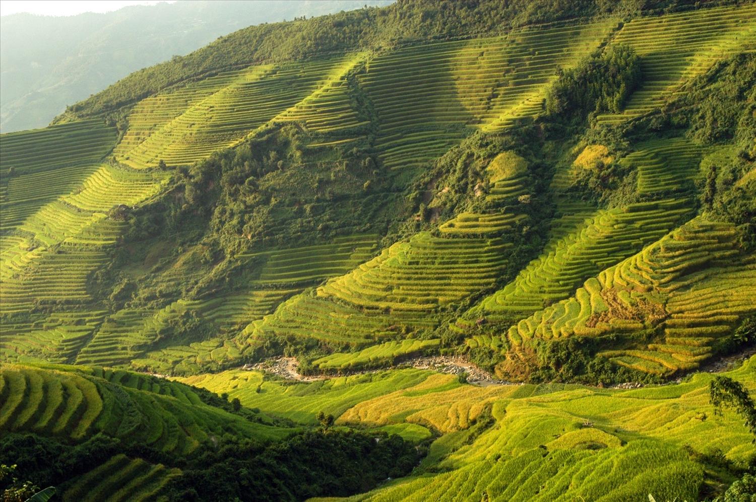 "Từng bậc thang lên xuống như cung đàn" - Ảnh Thắng Nguyễn "Từng bậc thang lên xuống như cung đàn" - Ảnh Thắng Nguyễn