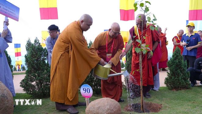 Các đại biểu thực hiện nghi thức trồng cây Bồ Đề tại Khu du lịch quốc gia núi Bà Đen, tỉnh Tây Ninh. (Ảnh: Minh Phú/TTXVN) ttxvn-vesak-2025-6.jpg