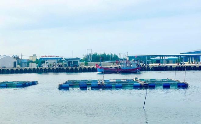 Bè nuôi thủy sản tại khu vực biển Tịnh Kỳ, thành phố Quảng Ngãi. (Ảnh minh họa: TTXVN phát) nuoi-trong-thuy-san.jpg
