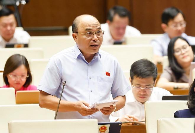 Đại biểu Quốc hội tỉnh Bà Rịa-Vũng Tàu Đỗ Văn Yên phát biểu. (Ảnh: Doãn Tấn/TTXVN) hop-quoc-hoi-3.jpg