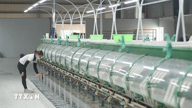 Ứng dụng công nghệ cao trong nông nghiệp. (Ảnh: TTXVN) ttxvn-ung-dung-cong-nghe-trong-nong-nghiep.jpg