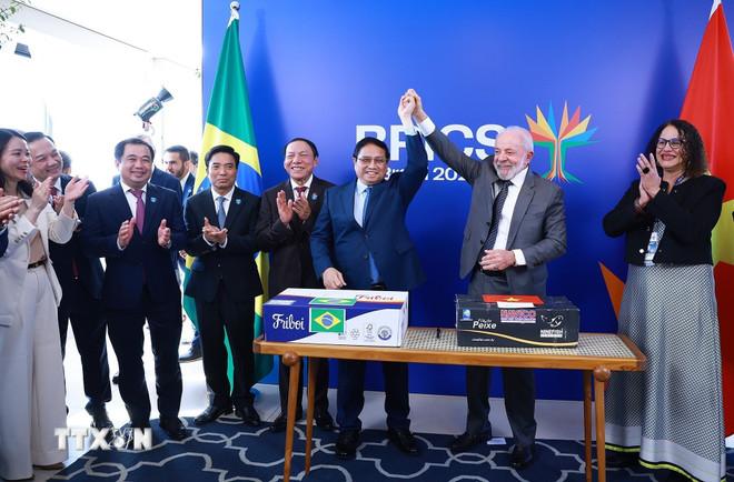 Thủ tướng Phạm Minh Chính và Tổng thống Cộng hòa Liên bang Brazil Lula da Silva tại lễ ký xuất khẩu hàng thương mại hai chiều giữa Việt Nam và Brazil. (Ảnh: Dương Giang/TTXVN) ttxvn-thu-tuong-tong-thong-brazil-2.jpg