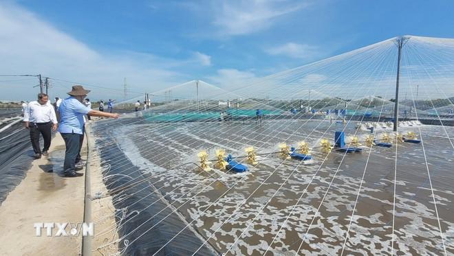 Mô hình nuôi tôm ứng dụng công nghệ cao tuần hoàn, khép kín tại Hợp tác xã Chợ Bến, xã Long Điền, Thành phố Hồ Chí Minh. (Ảnh: Hoàng Nhị/TTXVN) ttxvn-vung-nuoi-tom.jpg