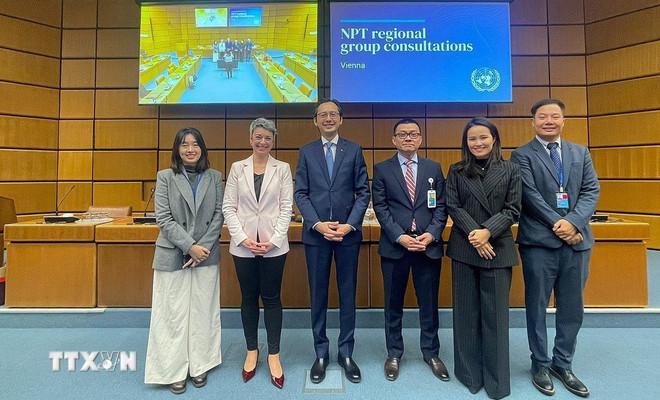 Phái đoàn Việt Nam tham dự phiên tham vấn tại Áo. (Ảnh: TTXVN phát) ttxvn-vu-khi-hat-nhan-ao-8435100.jpg