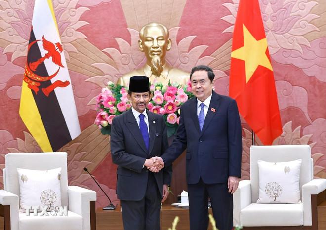 Chủ tịch Quốc hội Trần Thanh Mẫn hội kiến Quốc vương Brunei Darussalam Haji Hassanal Bolkiah. (Ảnh: Doãn Tấn/TTXVN) ttxvn-chu-tich-quoc-hoi-tran-thanh-man-hoi-kien-quoc-vuong-brunei-8443413-12.jpg