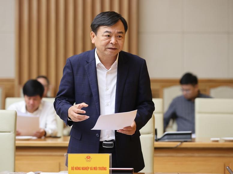 Thủ tướng: Không có lý do để trì hoãn 'Chiến dịch Quang Trung' xây dựng lại nhà ở cho người dân- Ảnh 3. Thủ tướng: Không có lý do để trì hoãn 'Chiến dịch Quang Trung' xây dựng lại nhà ở cho người dân- Ảnh 3.