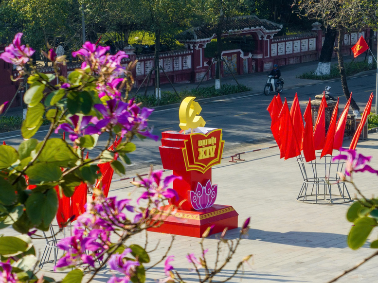 Rực rỡ cờ, hoa chào mừng Đại hội XIV của Đảng- Ảnh 17.