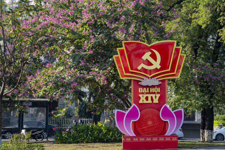 Rực rỡ cờ, hoa chào mừng Đại hội XIV của Đảng- Ảnh 16.