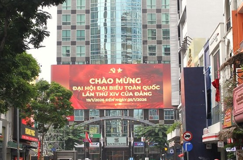 Rực rỡ cờ, hoa chào mừng Đại hội XIV của Đảng- Ảnh 3.