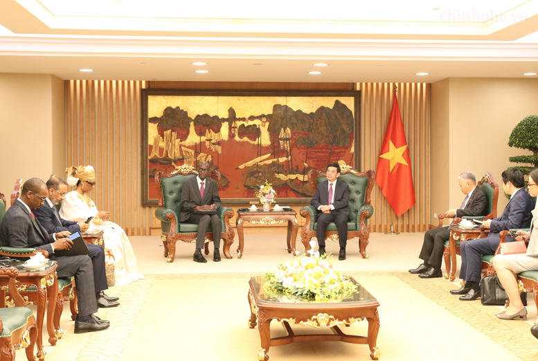 Đại tướng Phan Văn Giang tiếp Bộ trưởng, Tổng Thư ký Chính phủ Mauritania- Ảnh 2.
