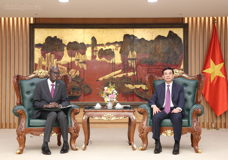 Đại tướng Phan Văn Giang tiếp Bộ trưởng, Tổng Thư ký Chính phủ Mauritania- Ảnh 1.